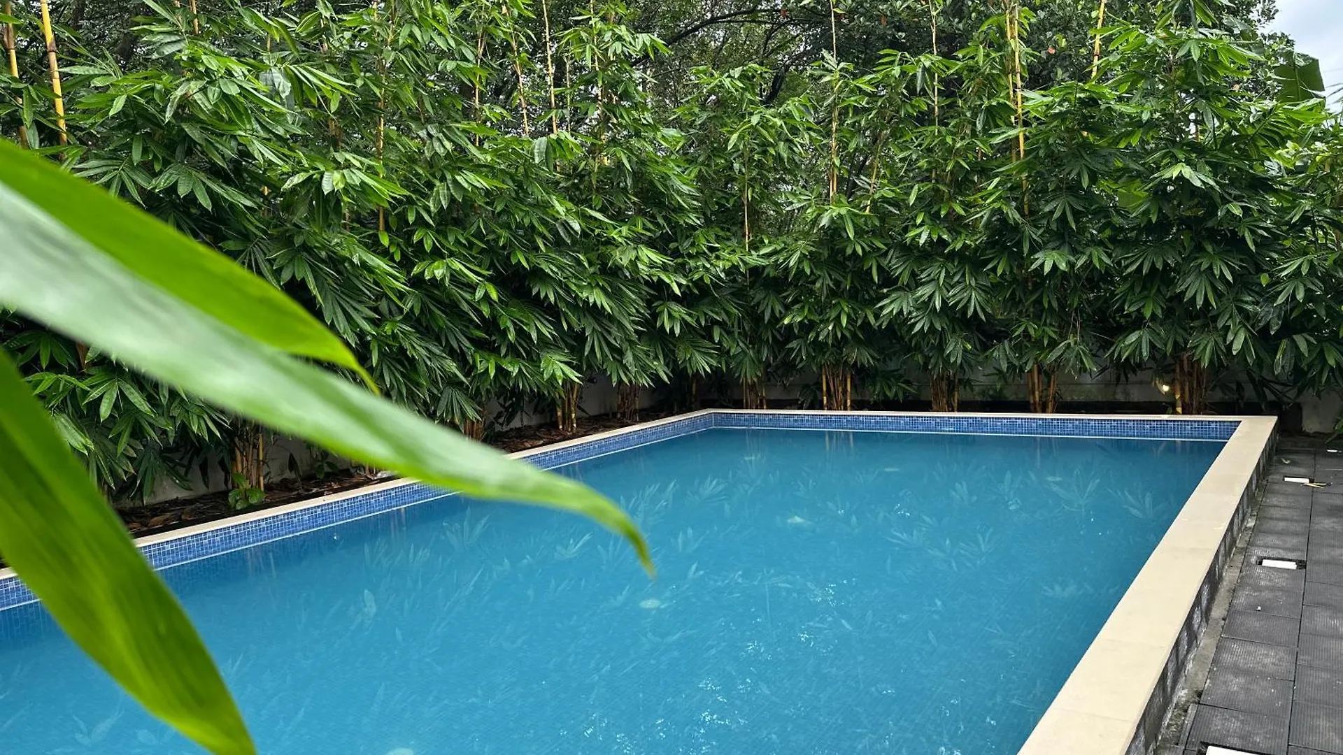 Chakkantharas Premium Villa Athirappilly India