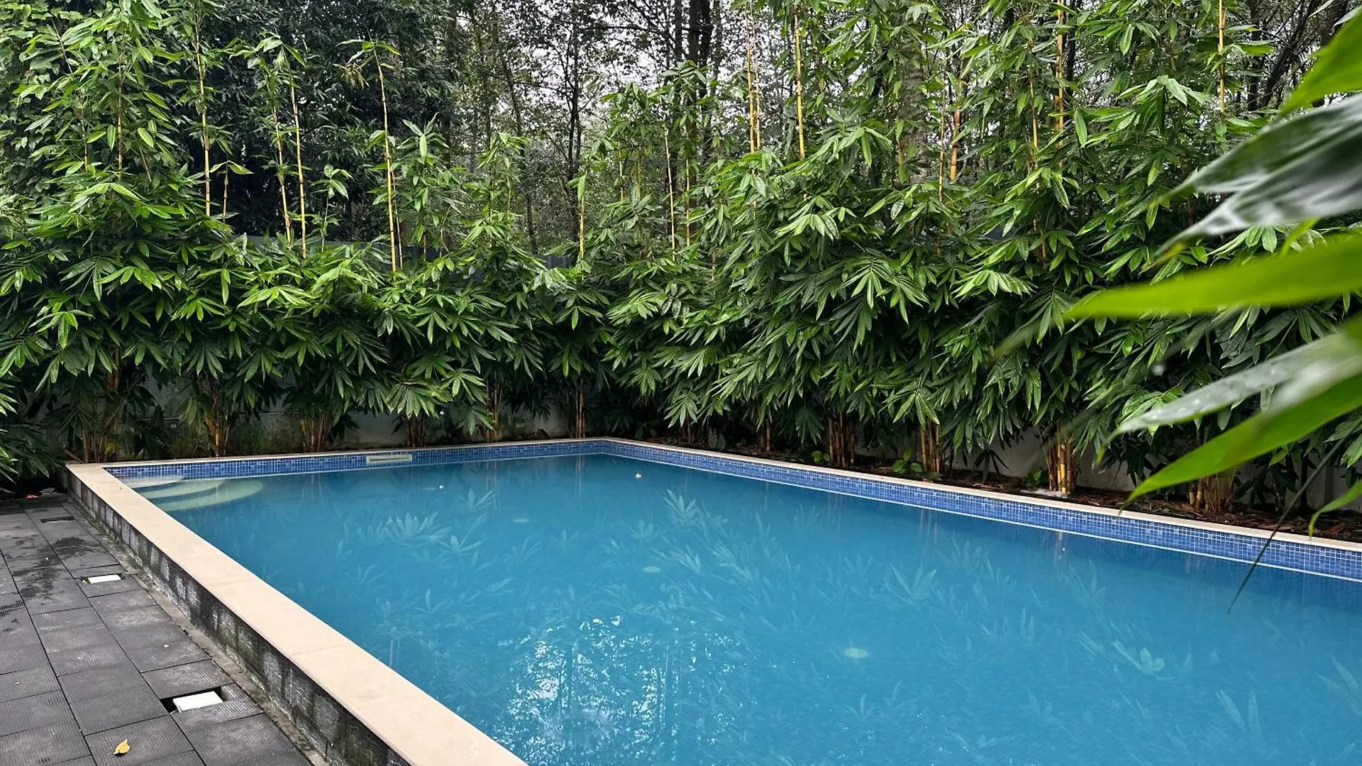 Country house Chakkantharas Premium Villa Athirappilly