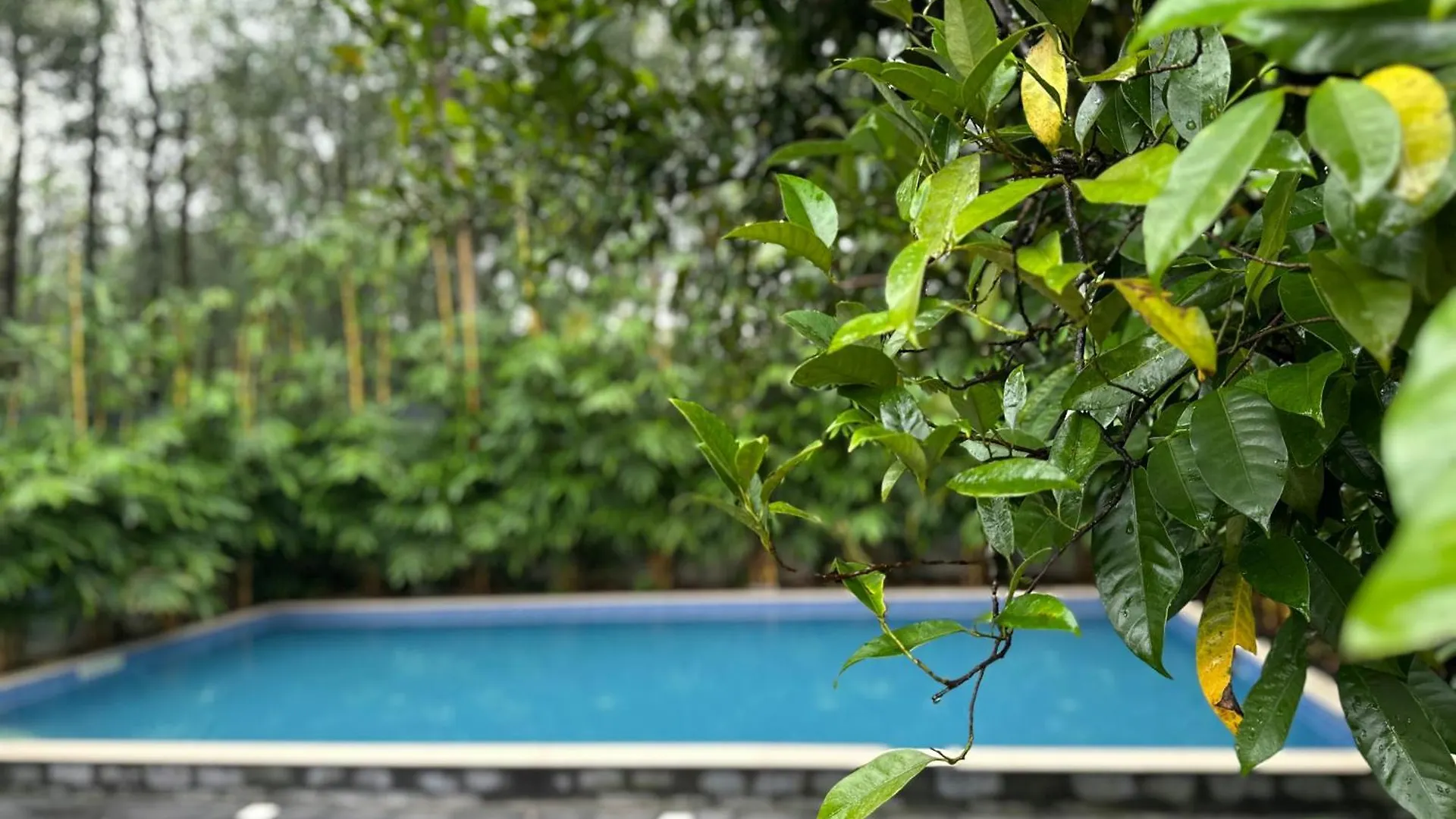 Country house Chakkantharas Premium Villa Athirappilly