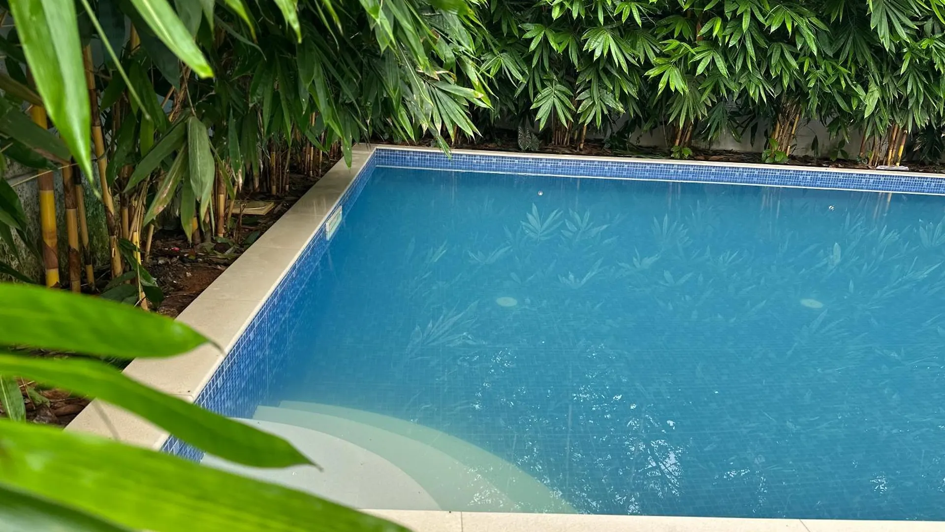 Chakkantharas Premium Villa Athirappilly